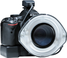 ニコン D5600 仕様
